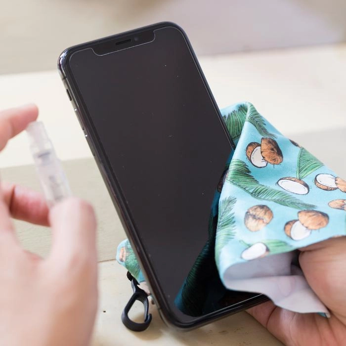 KIKKERLAND HANDY SCREEN CLEANER KIT