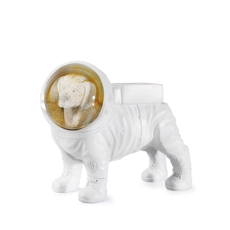 MAGNUS space dog