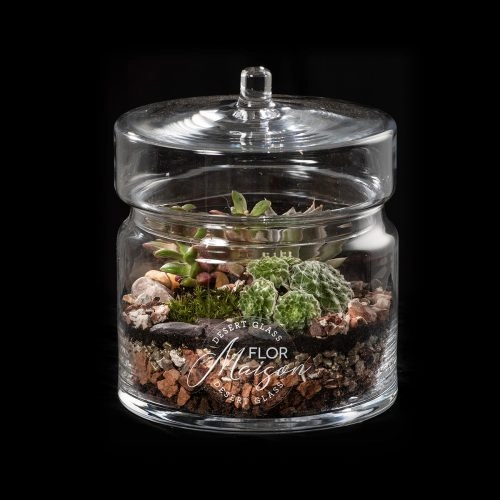 What is a Terrarium? - Flor Maison, miniature landscapes