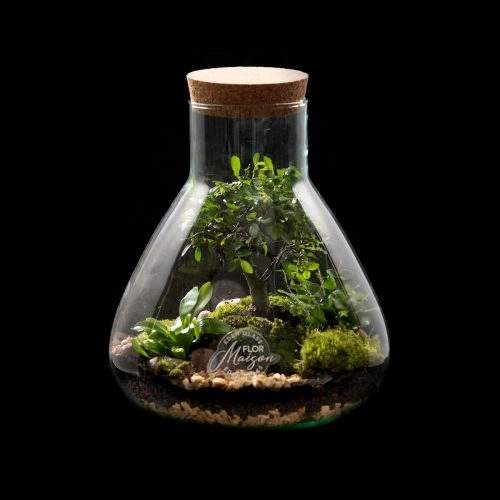 What is a Terrarium? - Flor Maison, miniature landscapes