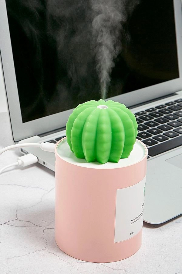 QUSHINI CACTUS HUMIDIFIER